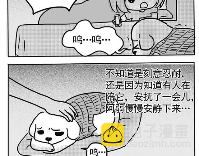 谢谢你来过这世界94