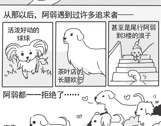 谢谢你来过这世界35