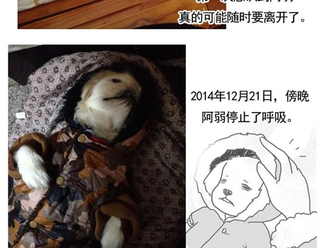 谢谢你来过这世界203