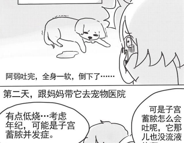 谢谢你来过这世界51