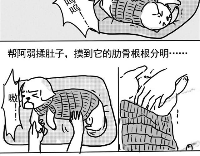 谢谢你来过这世界97
