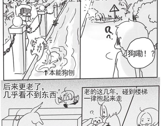谢谢你来过这世界45
