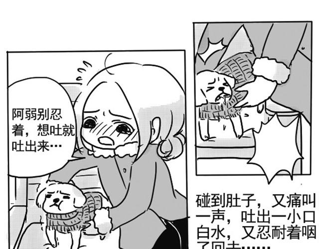 谢谢你来过这世界104