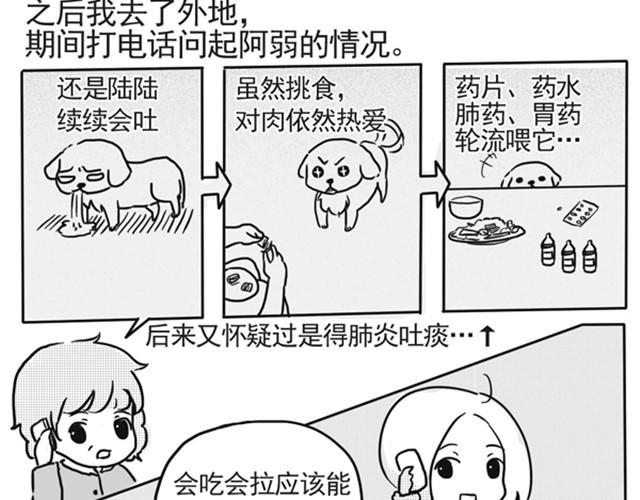 谢谢你来过这世界78