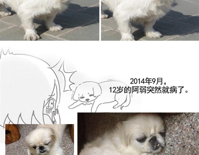 谢谢你来过这世界199