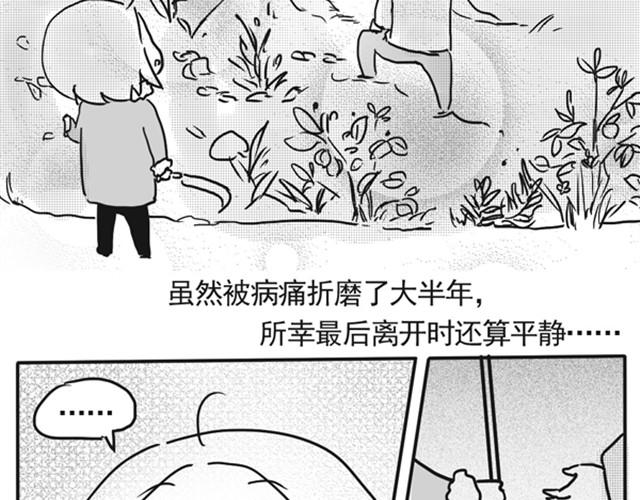 谢谢你来过这世界167