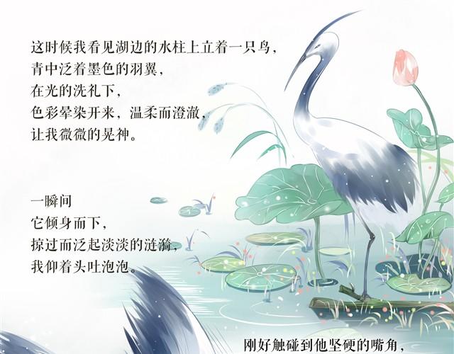 鱼恋(完)10