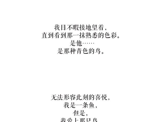 鱼恋(完)18