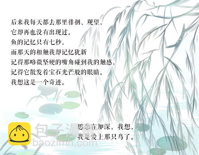 鱼恋(完)12