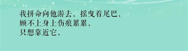 鱼恋(完)20