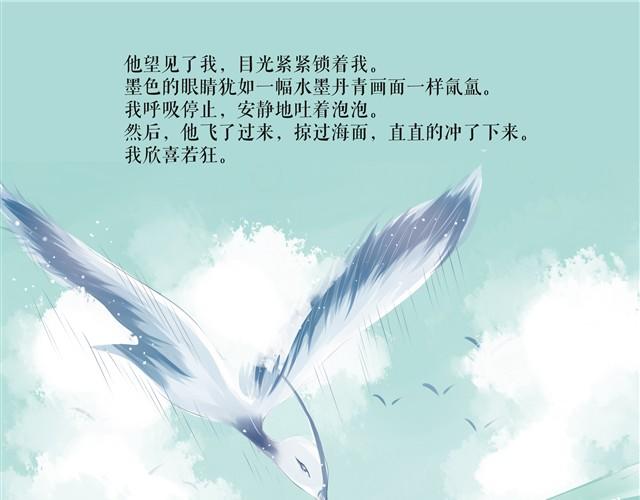 鱼恋(完)21