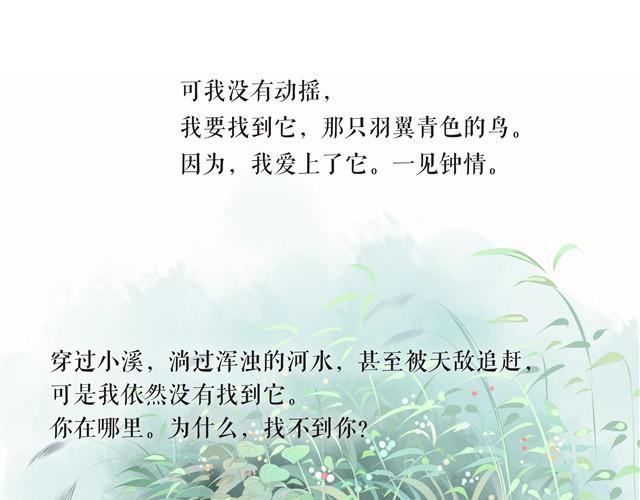 鱼恋(完)14