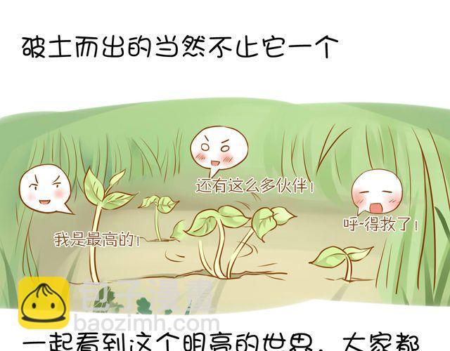 一棵树 （中）15