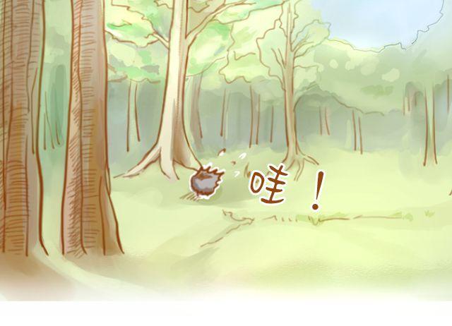 一棵树（上）6