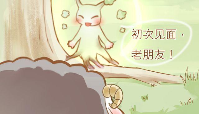 一棵树（上）13