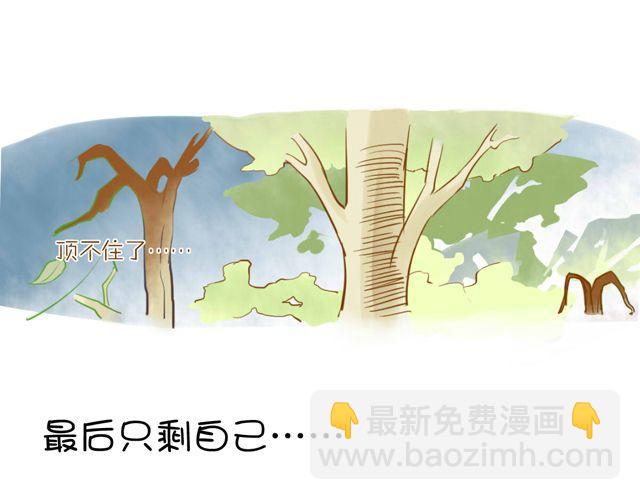 一棵树 （中）22