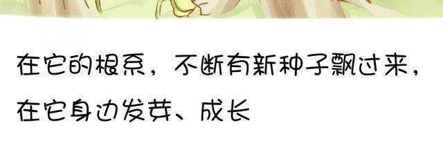 一棵树 （中）33