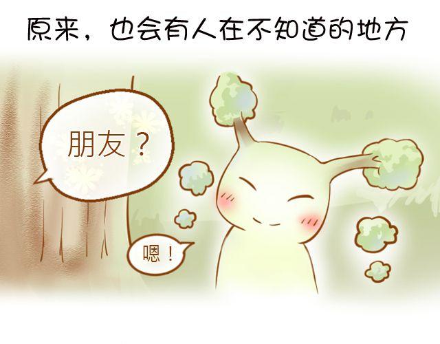 一棵树（上）14