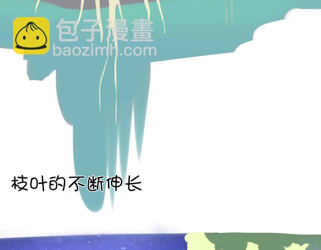 一棵树 （中）30
