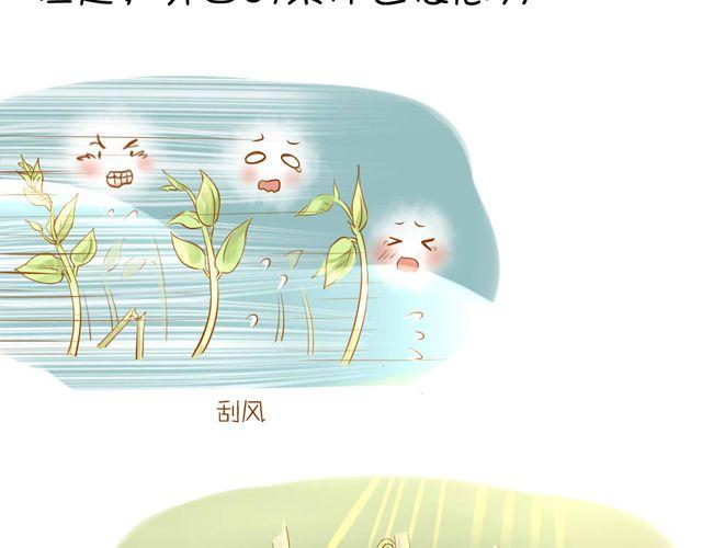 一棵树 （中）17