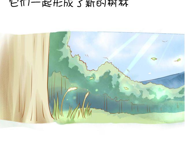 一棵树 （中）35