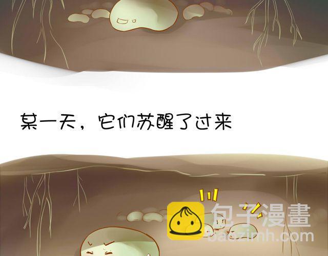 一棵树 （中）1