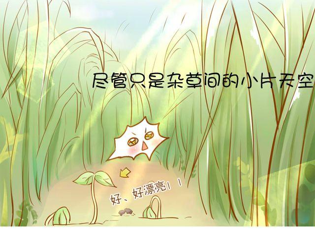 一棵树 （中）13
