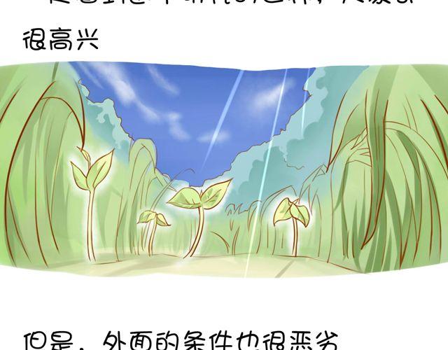 一棵树 （中）16