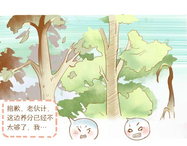 一棵树 （中）21