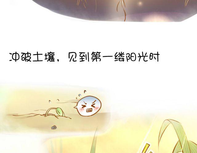 一棵树 （中）11