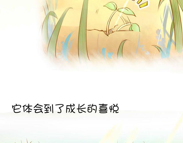 一棵树 （中）12
