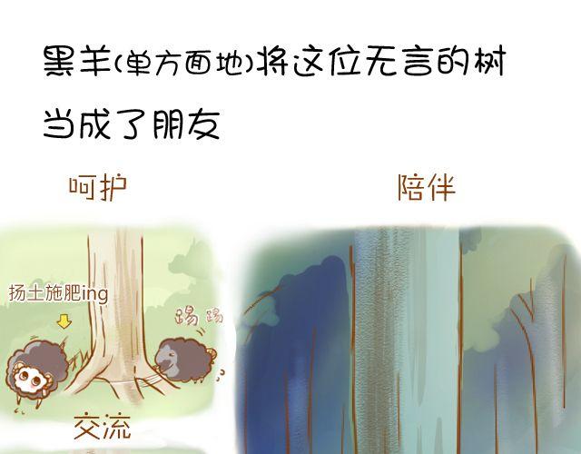 一棵树（上）7