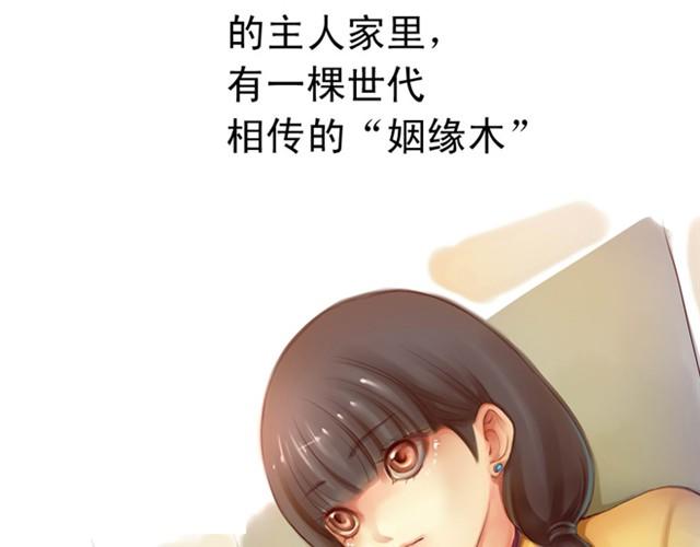 上篇 世代相传1