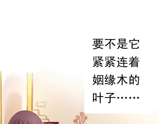 上篇 世代相传54