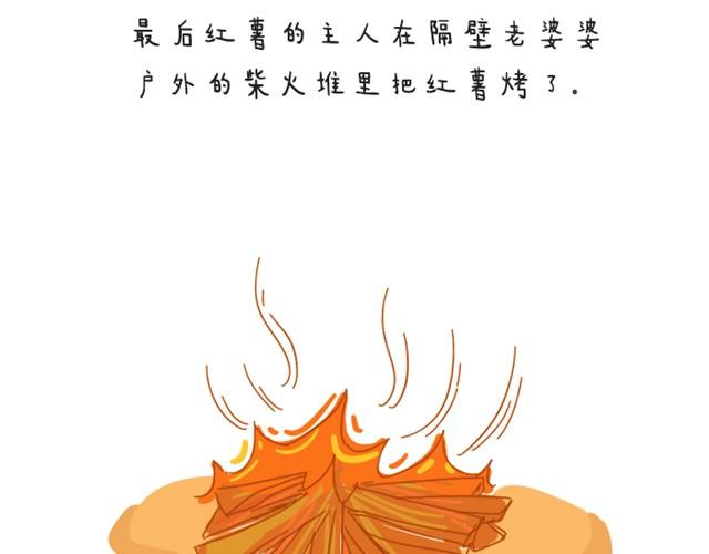 关于红薯的记忆10