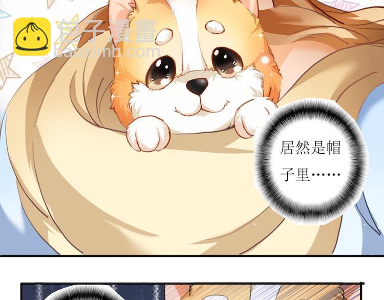 第1话 放开那个助理33