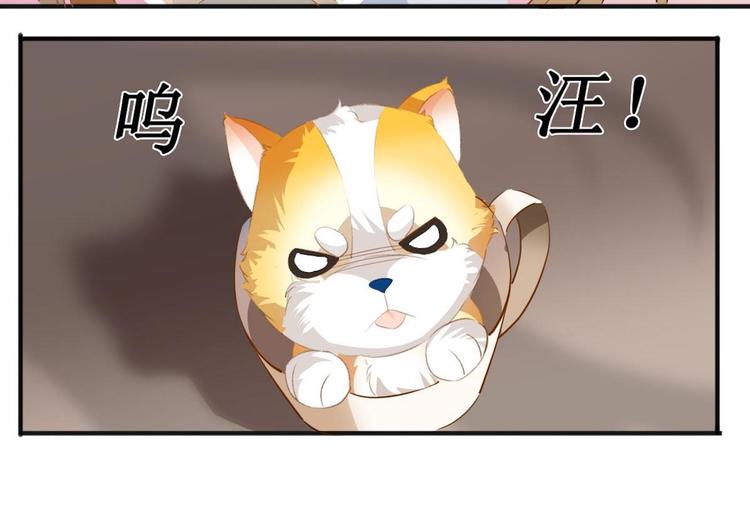 第2话 被诅咒的总裁51