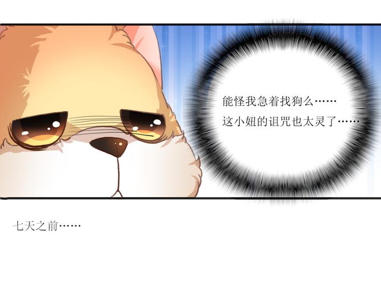 第1话 放开那个助理36