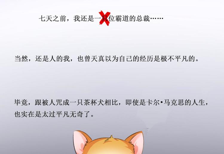 第2话 被诅咒的总裁0