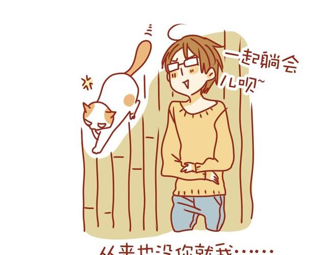 喵的圣意岂是人类可以揣摩的！17