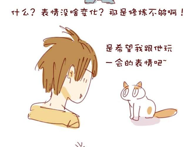 喵的圣意岂是人类可以揣摩的！6