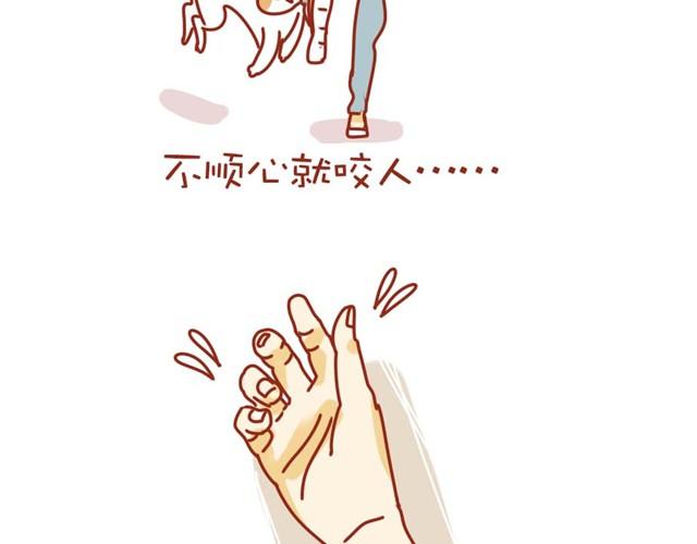 喵的圣意岂是人类可以揣摩的！11