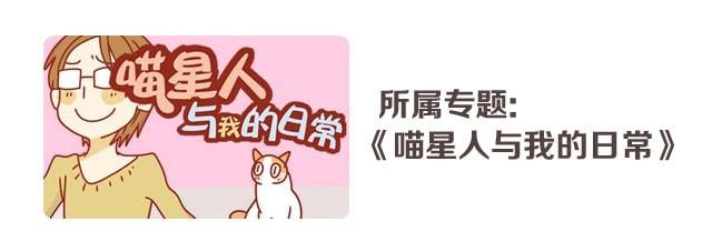 喵的圣意岂是人类可以揣摩的！29