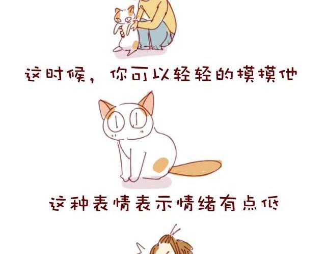 喵的圣意岂是人类可以揣摩的！2