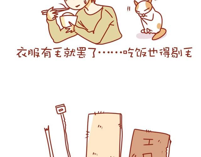 喵的圣意岂是人类可以揣摩的！24