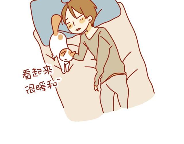 喵的圣意岂是人类可以揣摩的！14