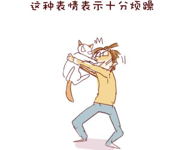 喵的圣意岂是人类可以揣摩的！4