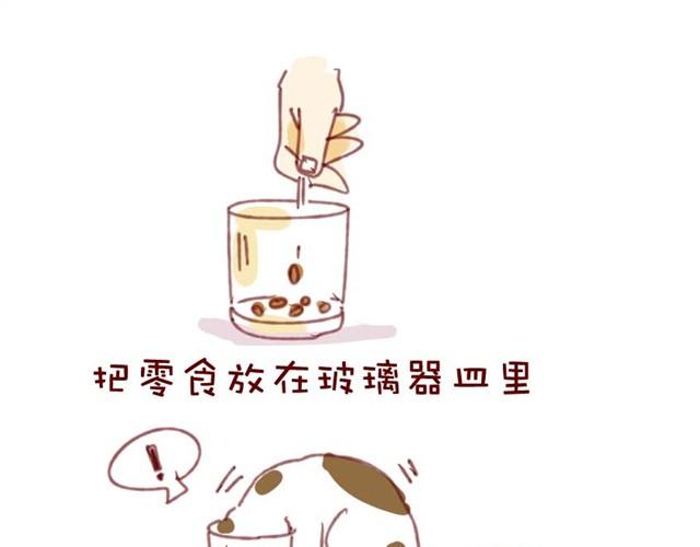 喵不喜欢玩游戏21