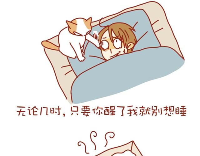 喵的圣意岂是人类可以揣摩的！21