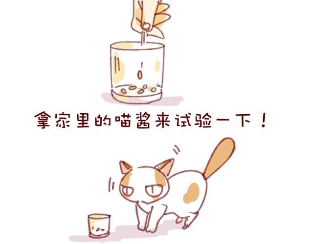 喵不喜欢玩游戏23